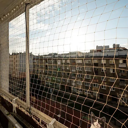 Apartment Rentplanet - Przy Parku Tolpy *